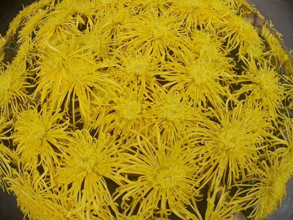 juhuanzhan02