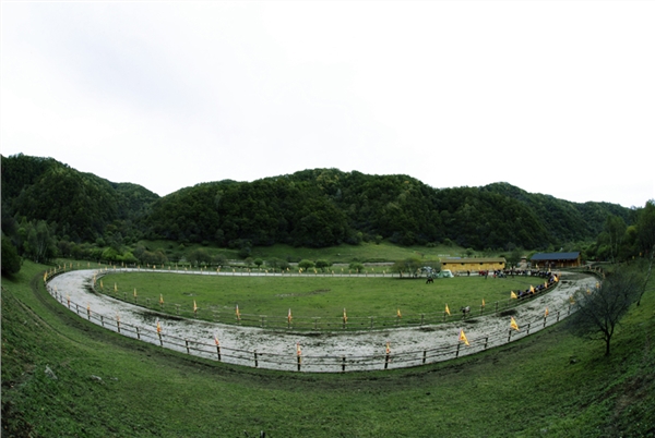 飒露马苑